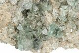 Fluorescent Green Fluorite Cluster - Lady Annabella Mine, England #235383-1